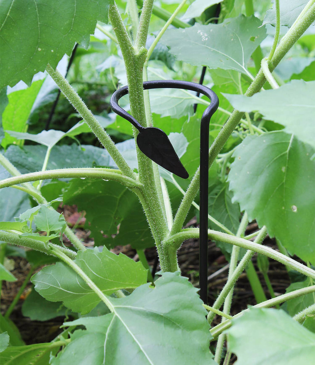 Plant Stake